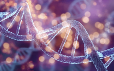 Random mutation is antithetical to natural selection