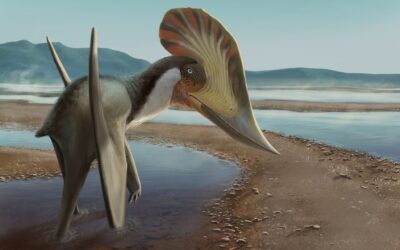 Plumosaurs flew as dinosaurs, not as proto-birds