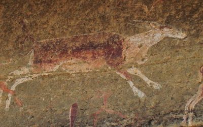 Khoisan rock art shows the true eland