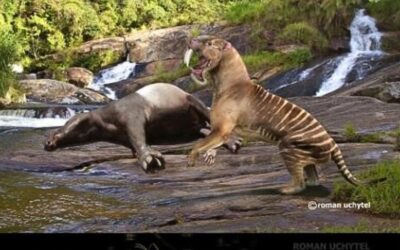 Was this marsupial a lion – or a pouch robbing, meat-browsing, cookie-cutting koala?